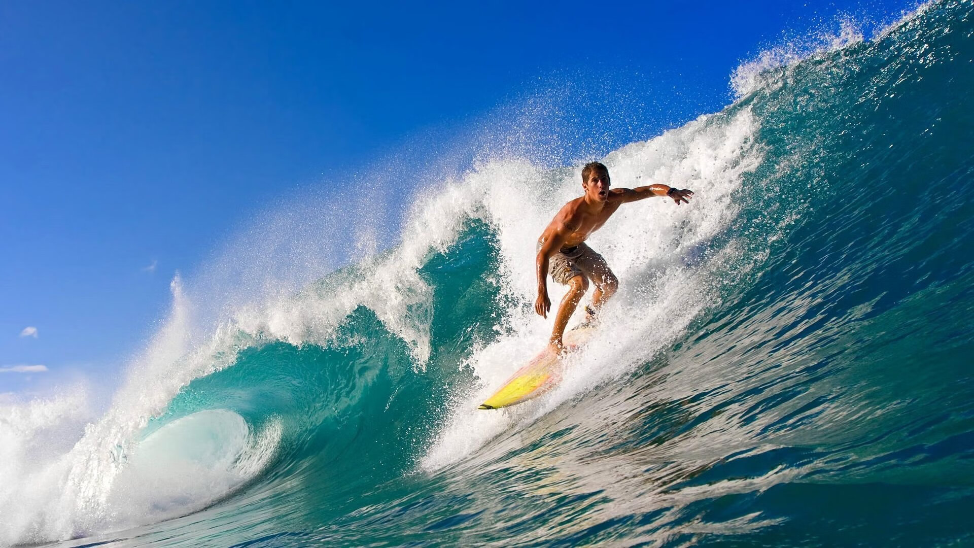 开云体育下载-运动员坚持训练的动人故事，运动员坚持训练的例子